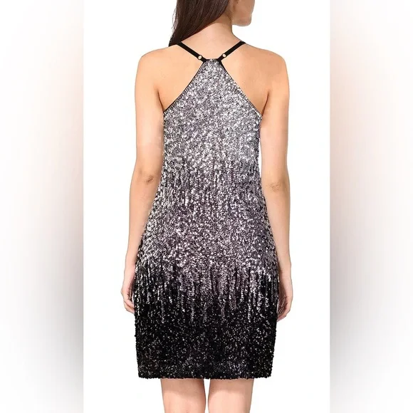 Silver Sparkly Dress-Eras Tour-Fearless Era - Picture 2 of 4